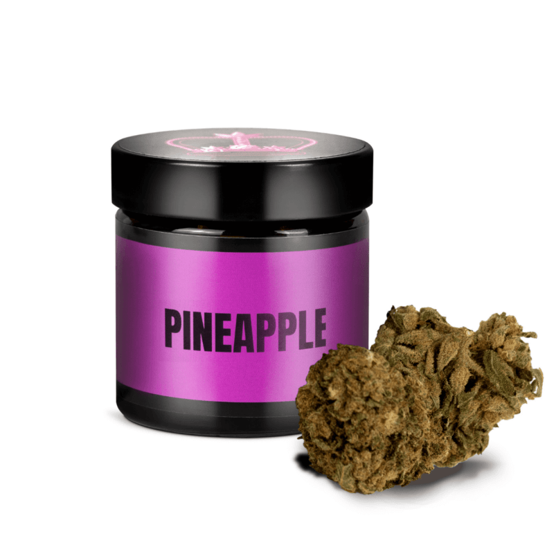 pineapple cbd cannabis sativa