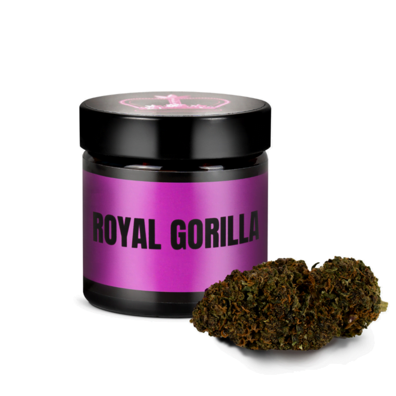 royal gorilla cbd cannabis
