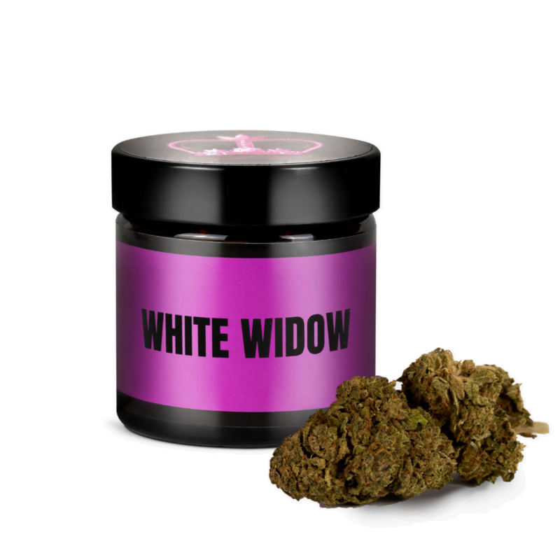 widow white