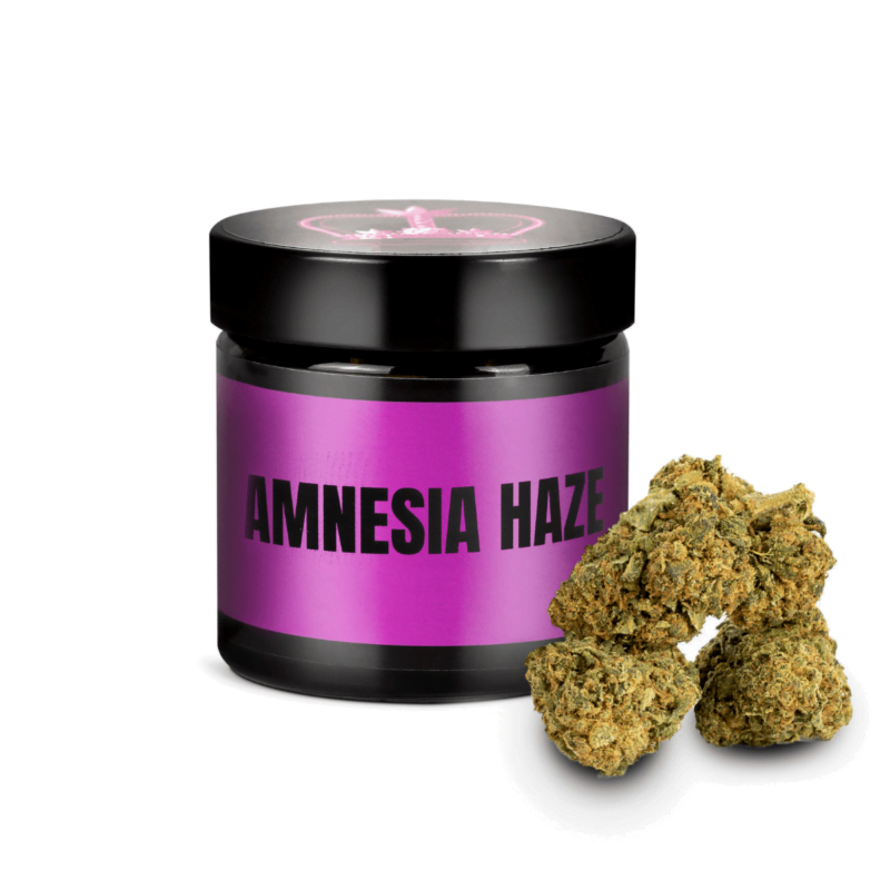 amnesia haze cbd cannabis