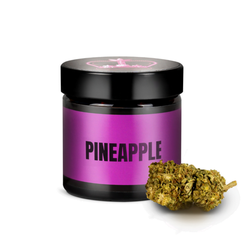 pineapple cbd cannabis sariva