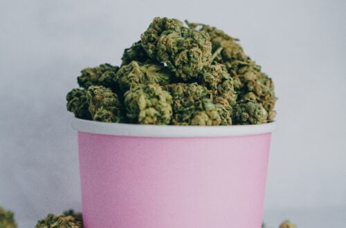 jaki susz CBD na uspokojenie