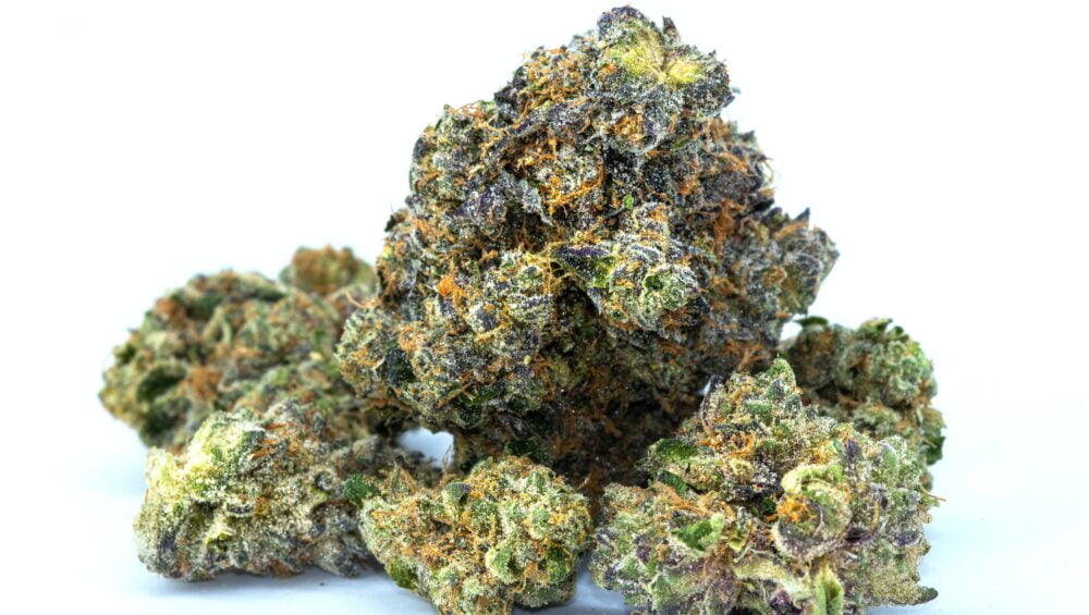 aurora 20 cannabis sativa flos