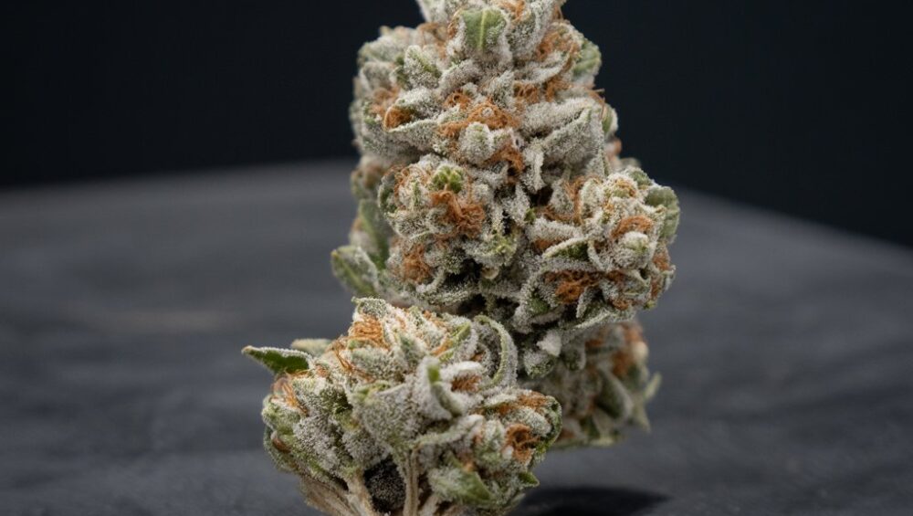 froster cherry cookies