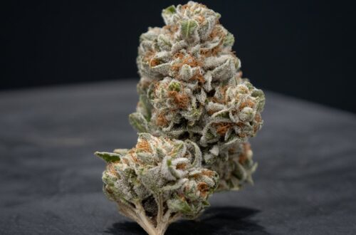 froster cherry cookies