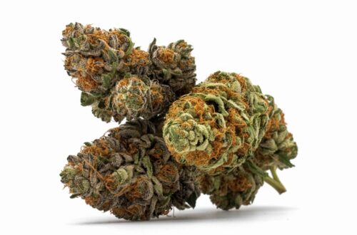 Lemon Angel 22% thc od Phytopur