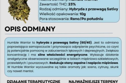 humble warrior 23% thc